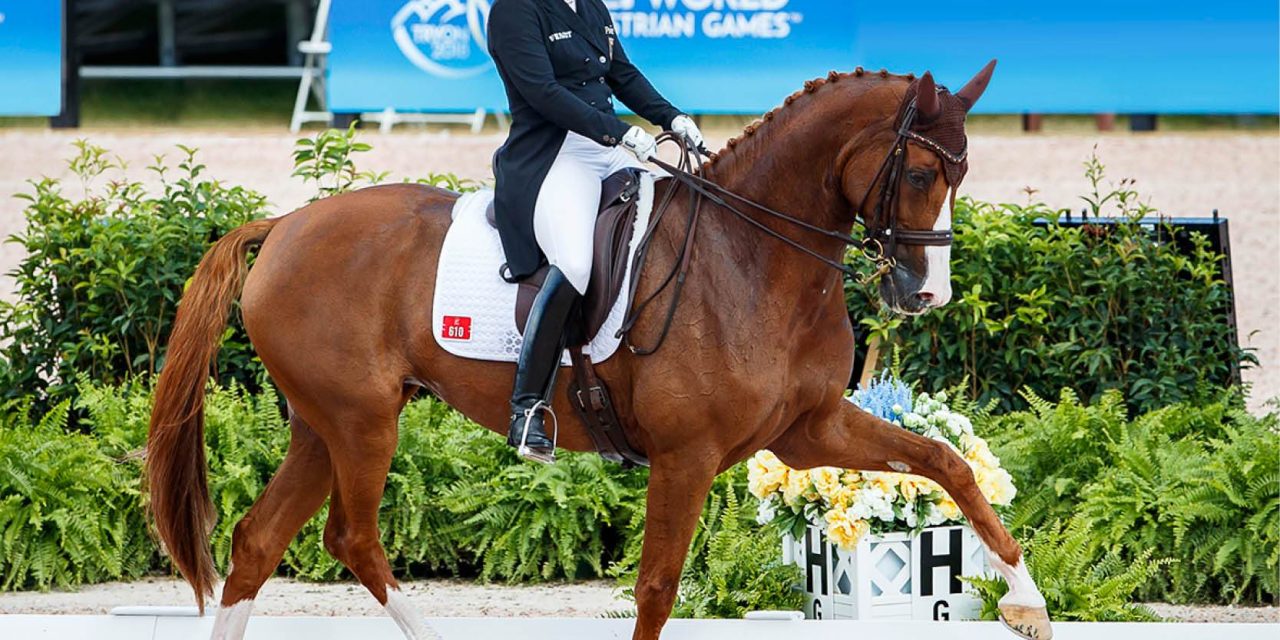 Isabell Werth Gaya Berkudanya Membuat Banyak Orang Terkesan
