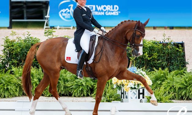 Isabell Werth Gaya Berkudanya Membuat Banyak Orang Terkesan
