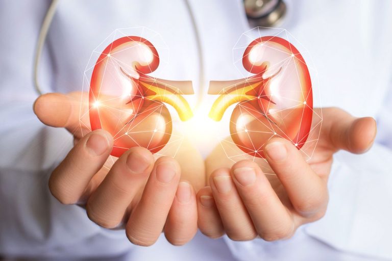 Mencegah Penyakit Ginjal, Menjaga Fungsi Ginjal Tetap Optimal